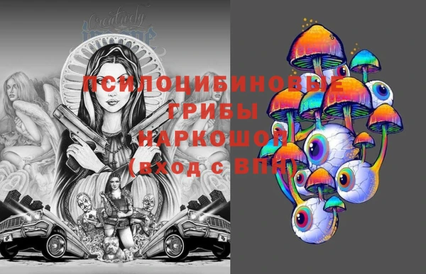 соль ск Богданович