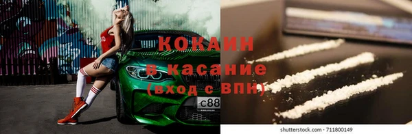 соль ск Богданович