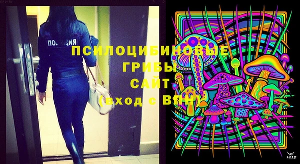 соль ск Богданович