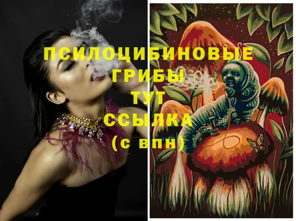 соль ск Богданович